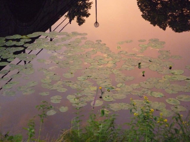 Romantische Abenddämmerung