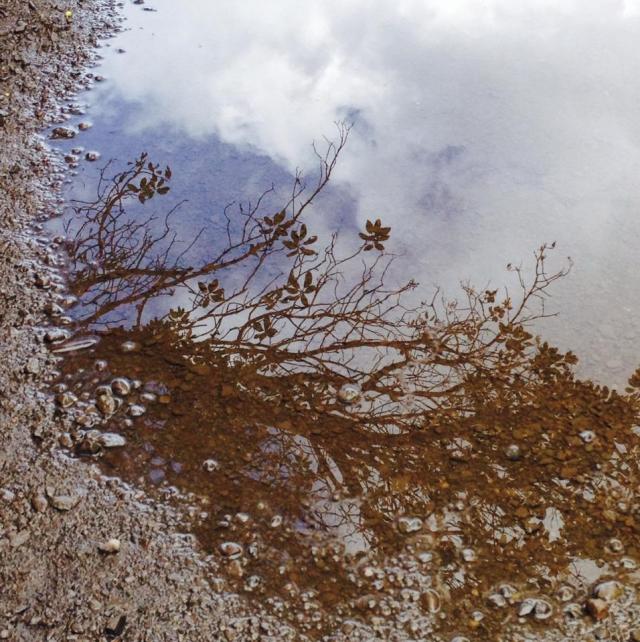 10382724_10152463286536225_1672710612950064410_n