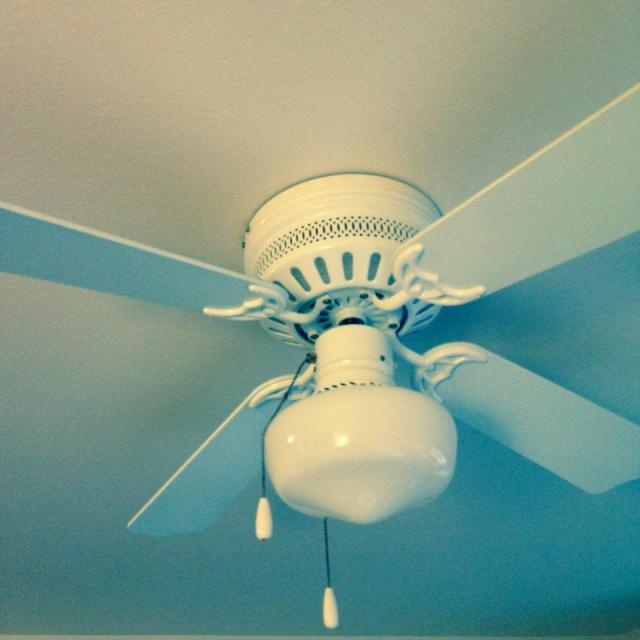 10441907_10152460995416225_8381990157367445314_n