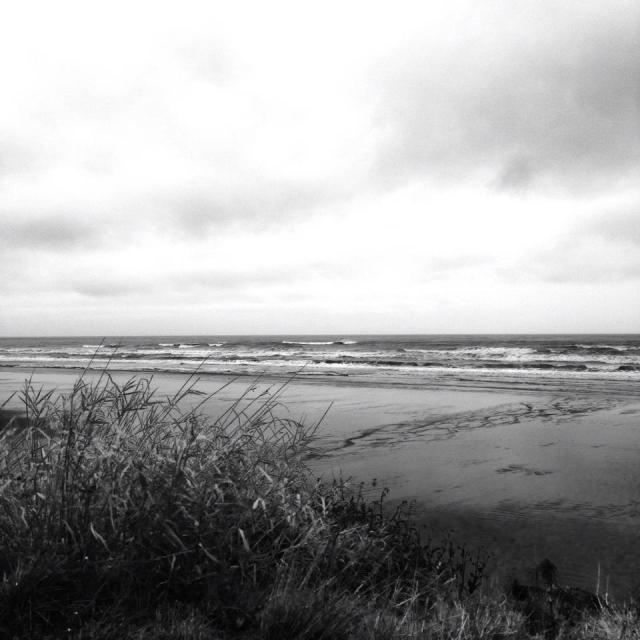 10659283_10152463292056225_6187119479510707253_n