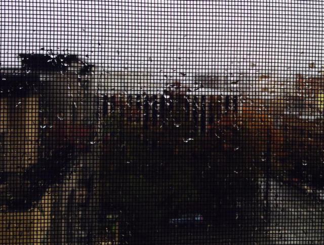 10712913_10152460995461225_7913728448240708715_n