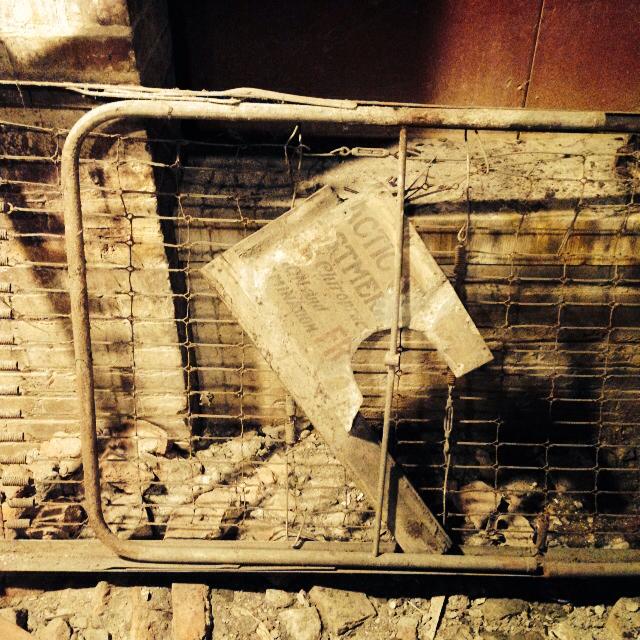 1236268_10152460291271225_878955161359207255_n